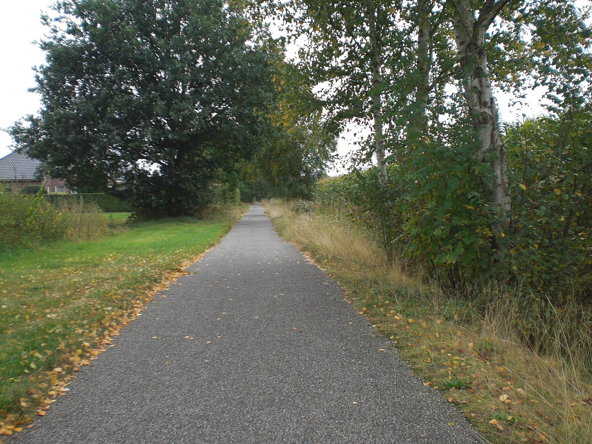 A view of Assen, Netherlands